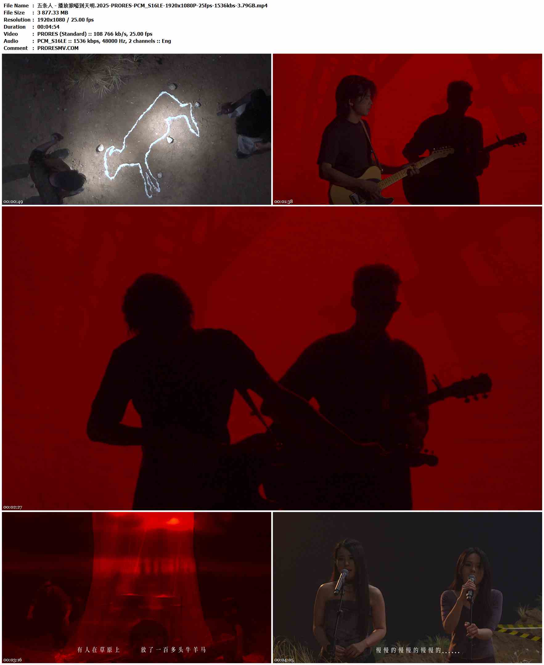 五条人 - 播放狼嚎到天明.2025-PRORES-PCM_S16LE-1920x1080P-25fps-1536kbs-3.79GB官方MV_高清MV
